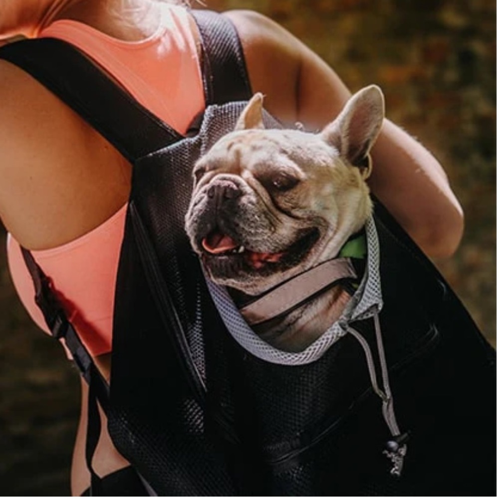 Deluxe Mesh Padded Dog Carrier Backpack- Up to 6 Pounds - Picture 2 of 16